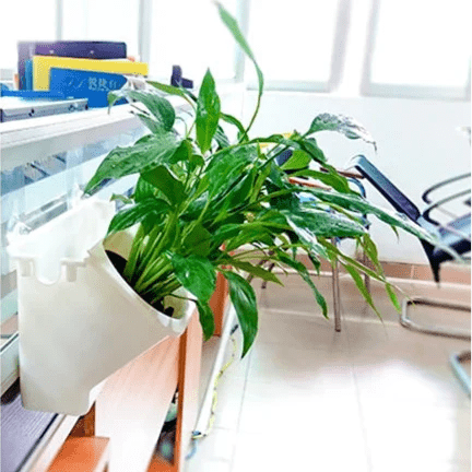 Pot de Fleurs - VerticalGardenFlowerPot™ - Blanc - Oasis Citadin