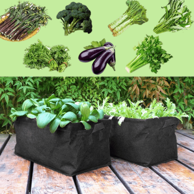 Sac de Plantation - SquareGrowPlanter™ - Noir - Oasis Citadin